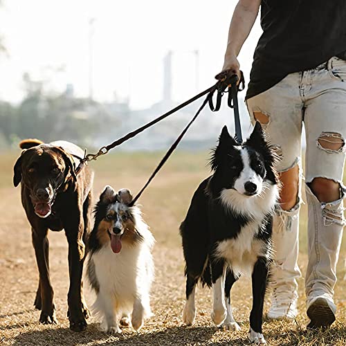 Haustier Hund Führen Leine Kette, Hundeleine Leine, Hundeleine Nylon, 3-in-1-Hundeleinen, Trainieren Joggen, Verstellbar, für Mittlere, Kleine Hunde, Mehrere Haustiere, für 1,2 Oder 3 Hunde (3 in 1)