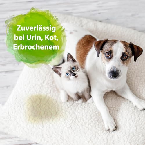 Bactador Konzentrat 1L inkl. Mischflasche - Enzymreiniger - Geruchsentferner & Fleckenentferner - Ergibt bis zu 50 Liter - Mikrobiologischer Geruchsneutralisierer - Hunde/Katzenurin Entferner