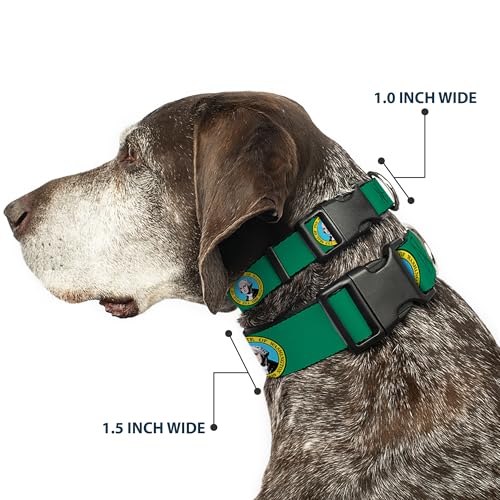 Collier plastique Buckle Down Washington : ajustement parfait petit chien 6-22cm - 3
