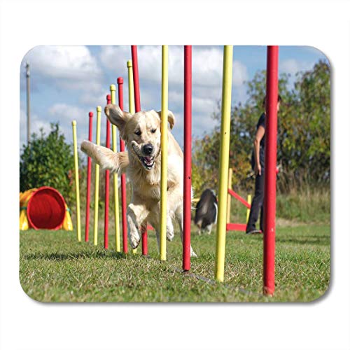 Preisvergleich Produktbild Mauspads Grünes Training Hund Beweglichkeit Slalom Sportwettbewerbe von Mauspads für Notebooks, Desktop-Computer Matten Büromaterial