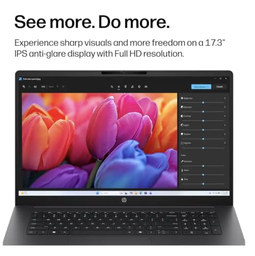 Image of HP OmniBook 3 Copilot + Laptop 17.3 inch 60Hz IPS FHD Display (16GB DDR5)
