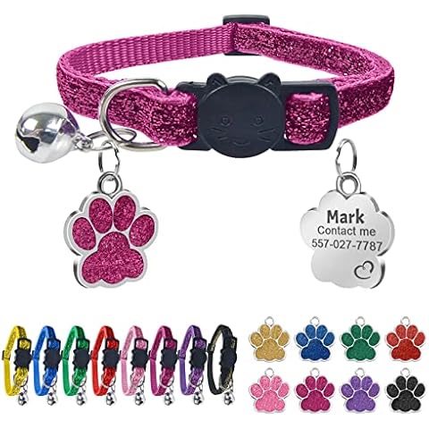 Collier Chat Uiopa avec Médaille Gravée Cover