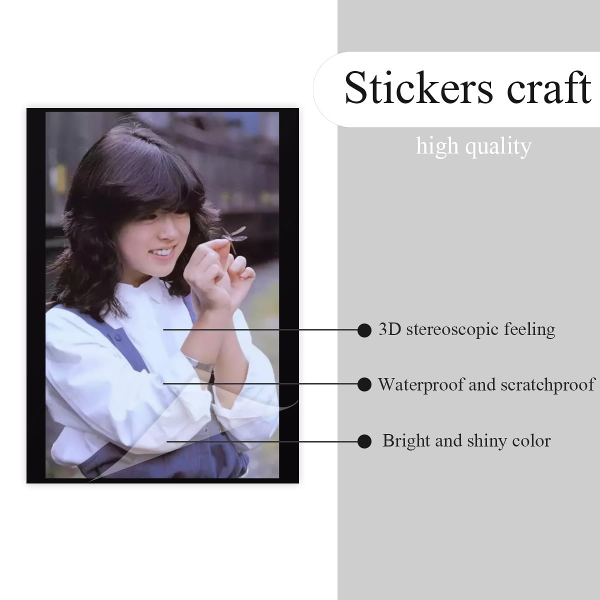 Amazon.co.jp: 中森明菜 ステッカーセット クリスタルステッカー