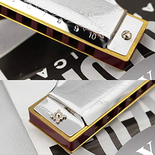 Harmonica Standard Débutant Diatonic Blues Gaita 10 trous Instrument de musique - Les Beatles, Paul McCartney, John Lennon, RIngo Starr, George Harrison Harmonica Standard Débutant Diatonic Blues Gaita 10 trous Instrument de musique – Image 4
