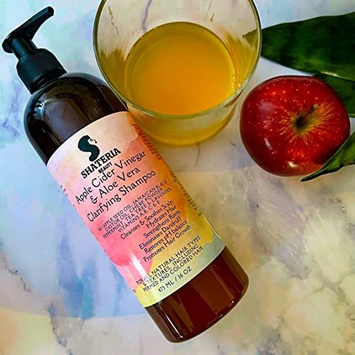 Shateria Beauty Apple Cider Vinegar & Aloe Vera Clarifying Shampoo W/Chebe Powder & Essential Oils, Vegan Stimulating Shampoo For Detox And Dandruff For All Hair Types, 16 Fl Oz #TOP2