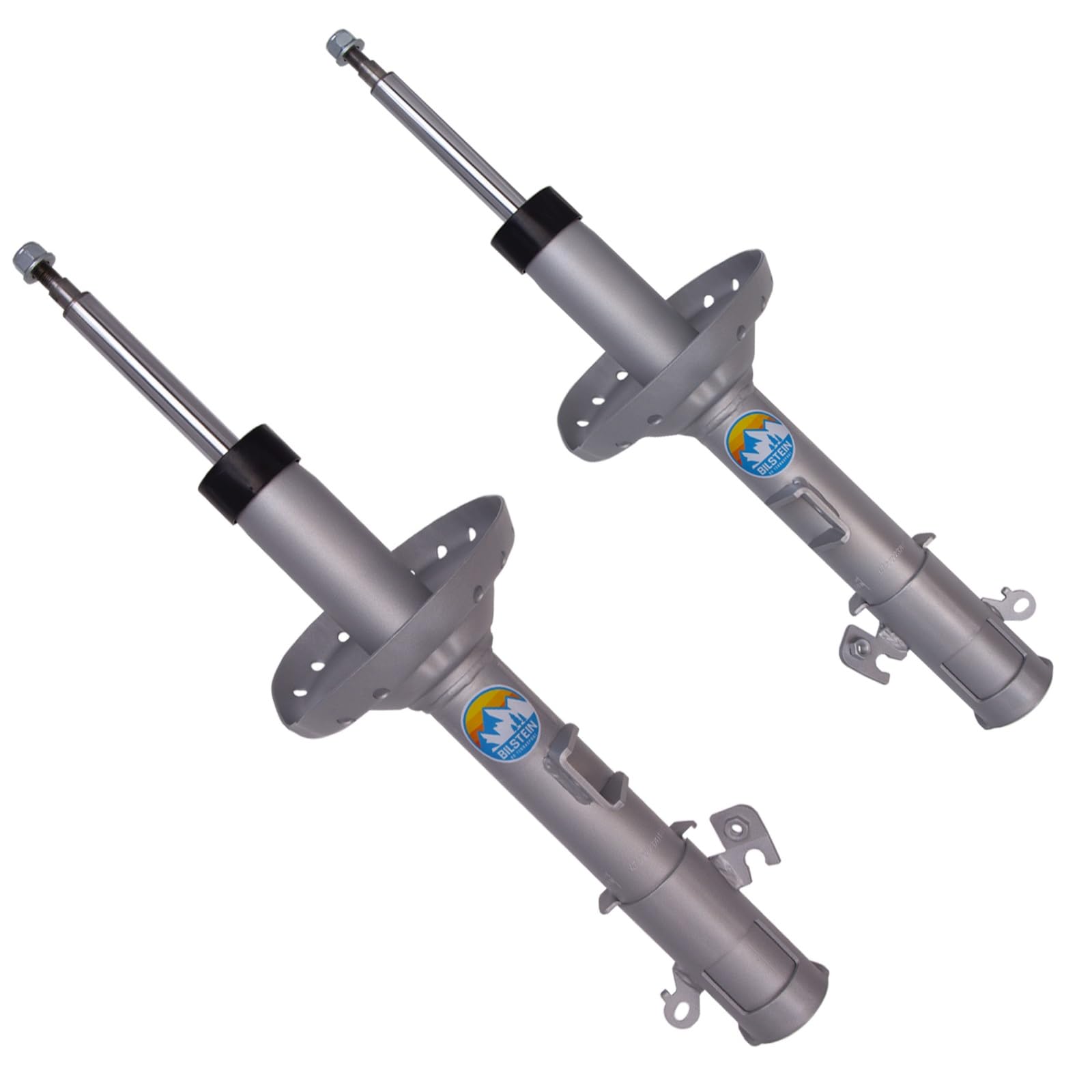Amazon.com: TrendsAuto TerraSport Series Set of Front Strut