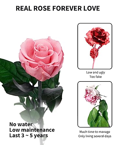 Image of Coral Pink Flowers for Delivery Prime, Preserved Pink Roses Flower Gifts for Women, Real Roses Single Rose Gifts for Her, Mom Birthday Gifts from Daughter, Valentines Flowers
