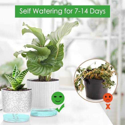38% Off 4-Pack Self-Watering Plant Pots with Reservoir