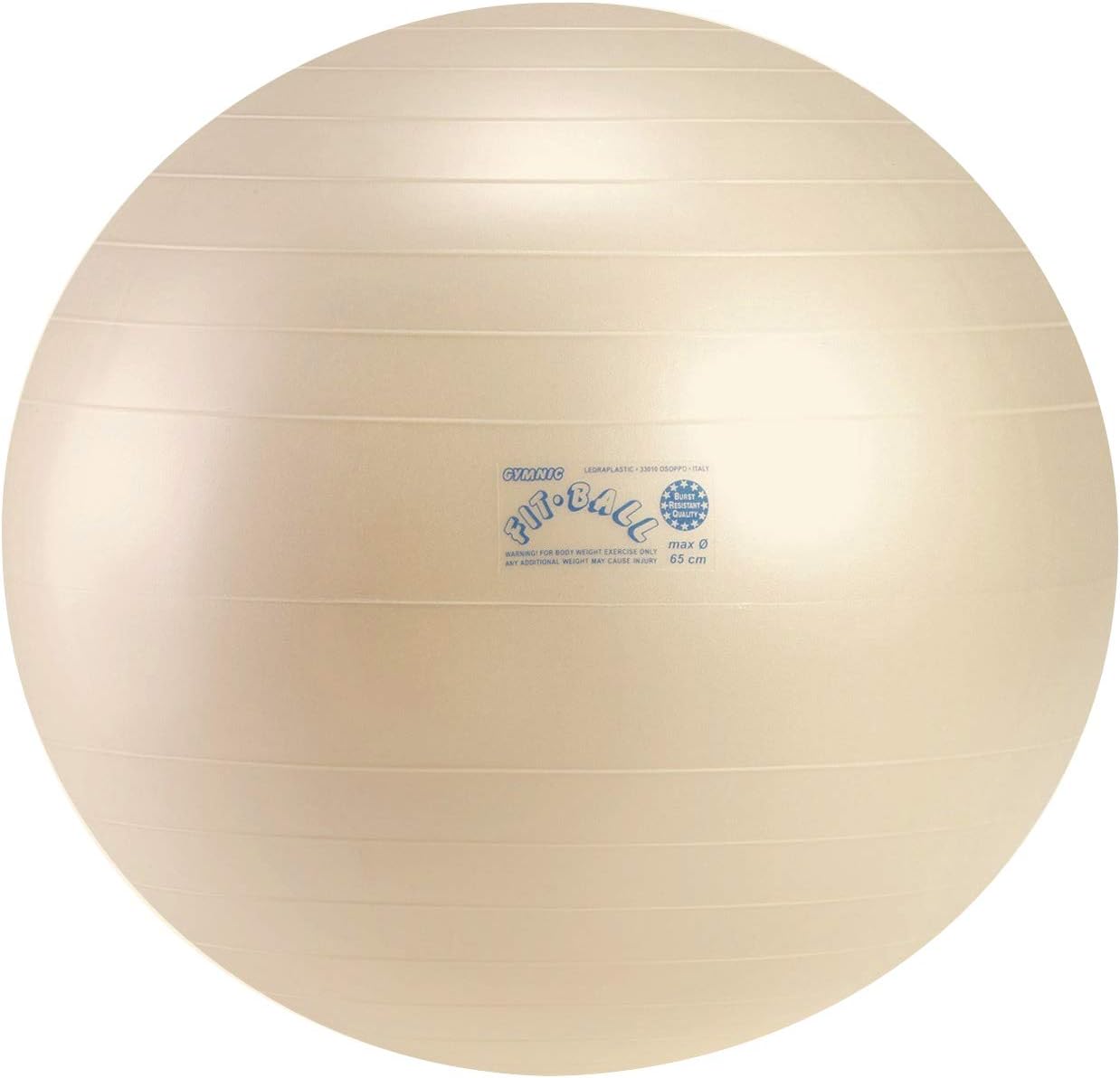 直営店 ギムニク バランスボール 身体のパフォーマンスをワンランクupセット 65cm Gypset65 エクササイズ ヨガ ボール ピラティス Fucoa Cl 直営店 ギムニク バランスボール 身体のパフォーマンスをワンランクupセット 65cm Gypset65 エクササイズ ヨガ ボール ピラティス Fucoa Cl