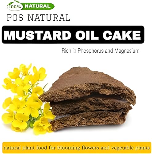 Image of DAS Mustard Oil Cake (Sarso Khali) - 100% Organic Fertilizer & Natural Plant Growth Booster | Cold-Pressed Mustard Cake for Gardening & Farming (0.5kg)