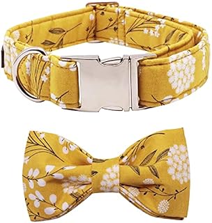 Lionet Paws Cotton Dog Collar with Bowtie, Durable Adjustable and Comfortable Collar for Small Dogs Puppies and Cats Girl Boy, Neck 25-40cm