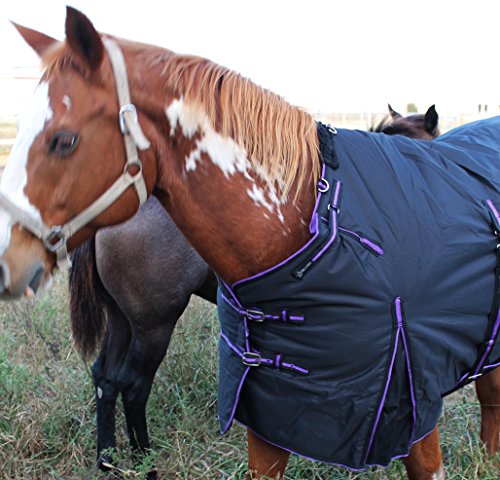 Image of Challenger 1200D Turnout Waterproof Horse Heavy Winter Blanket w /Bellyband Purple 565B