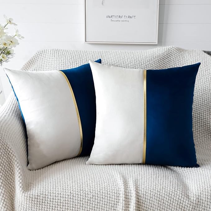 HIMS Velvet Sofa Pillow Cover Set of 2, Luxury Cushion Cover 18 inch x 18 inch for Decorative Living Room Sofa Bedroom Car (18x18 Inch, Blue) (B0D91PKCPF) Amazon Price History, Amazon Price Tracker