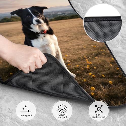 Alfombrillas de coche antideslizantes de perros para evitar suciedad en furgonetas 3