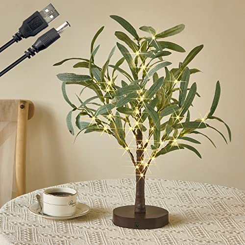 Fudios Little Lighted Tree with Timer 18in 50 LED USB Battery Operated Table Top Bonsai Olive Trees...