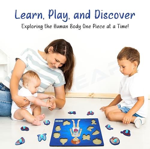 Image of Wooden Male Human Body Parts Learning Toys Puzzle for Brain Training /Jorky Cutting Puzzle for Home /School /Non-Toxic /Education Memory Games for Baby Boy and Girl (Suggested by Expert)