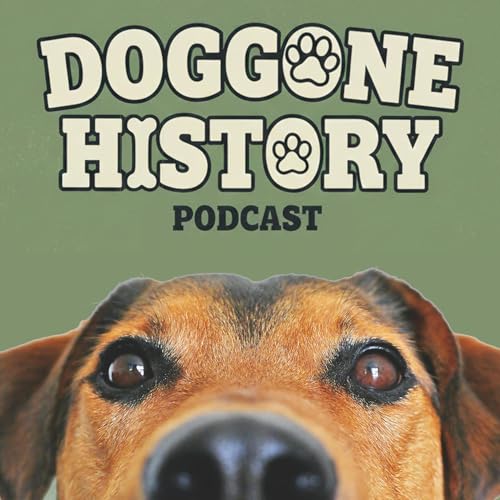 Introducing Doggone History!