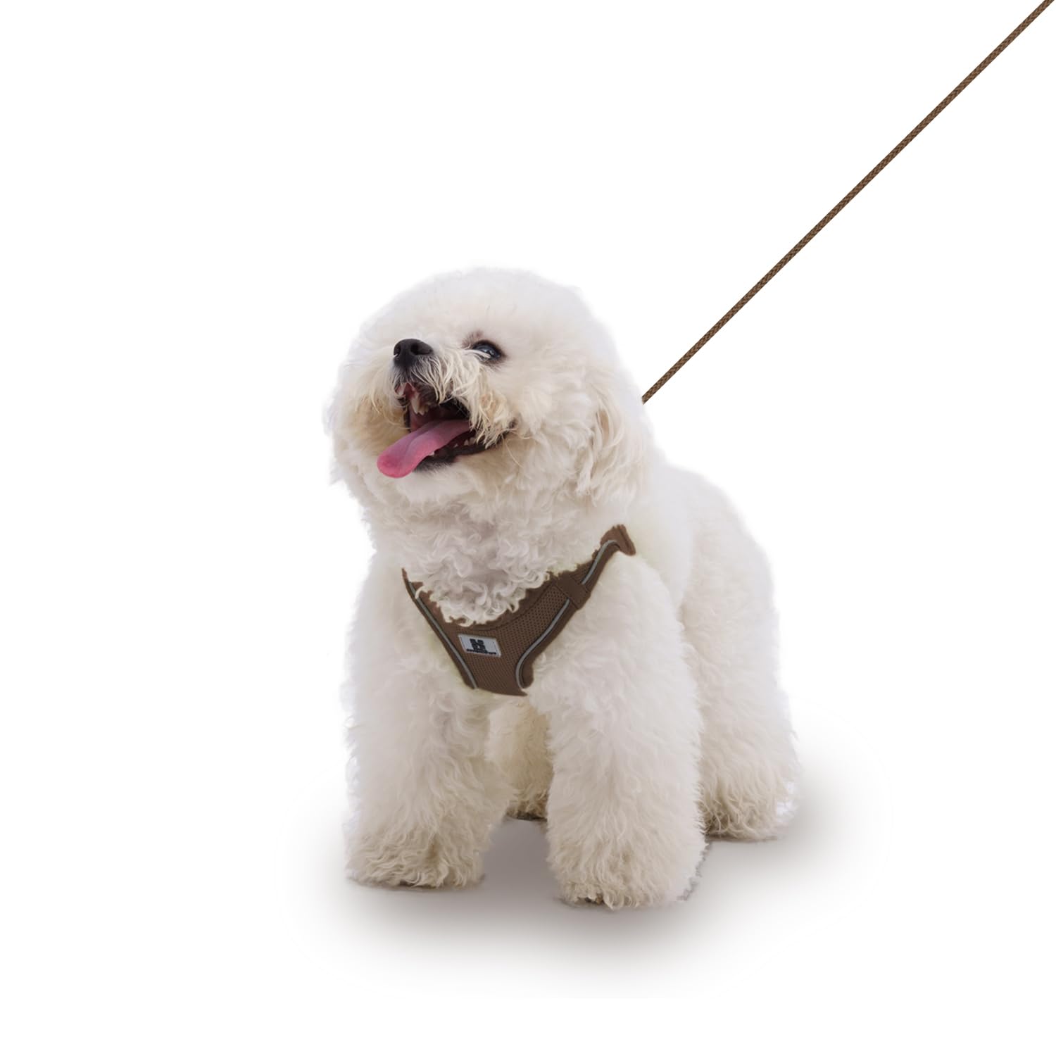 SMALL COMBINATION Adjustable Dog Harness with Leash, Reflective Mesh, No-Pull Design，Matching Lead Rope (Brown, L)