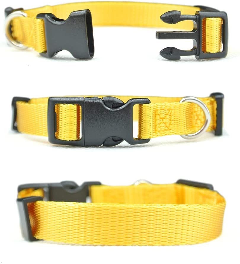 Image of Puppy ID Collars I Identification Soft Nylon I Puppy Collars, Adjustable Breakaway Safety I Whelping Litter Collars for Newborn I Puppies Kitten I Pack of-1 (10MM Plain Collar)