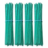 Kool Products Pack of 100 Skewers 8.66