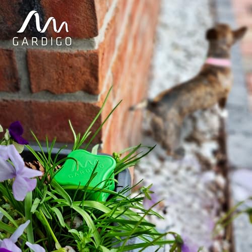 GARDIGO® Hundeschreck Granulat inklusive Beet-Stecker | 300g | Hundeschreck Garten mit Eukalyptus Citriodora Öl I Made in Germany I Hundeabwehr für Haus und Garten | Hundevertreiber