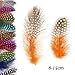 Outuxed 250pcs Spotted Feathers 3-6 Inches Colorful Feathers for Crafts DIY Wedding Home Party Decorations and Dream Catcher