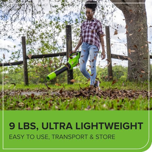Image of Greenworks 48V Electric Leaf Blower, 585 CFM, (2) 4.0 Ah Batteries, Charger