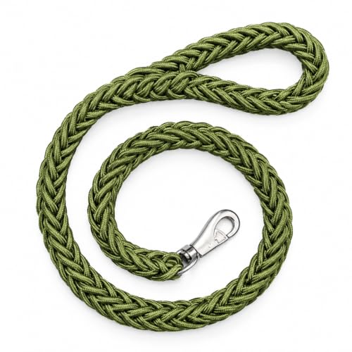 Image of Dog Leash Heavy Duty, Braided Nylon 120 cm Long and 3 cm Wide Dog Belt for Large Dogs and Medium Dogs, Walking Rope with Loop Handle and Swivel Metal Hook (Green)