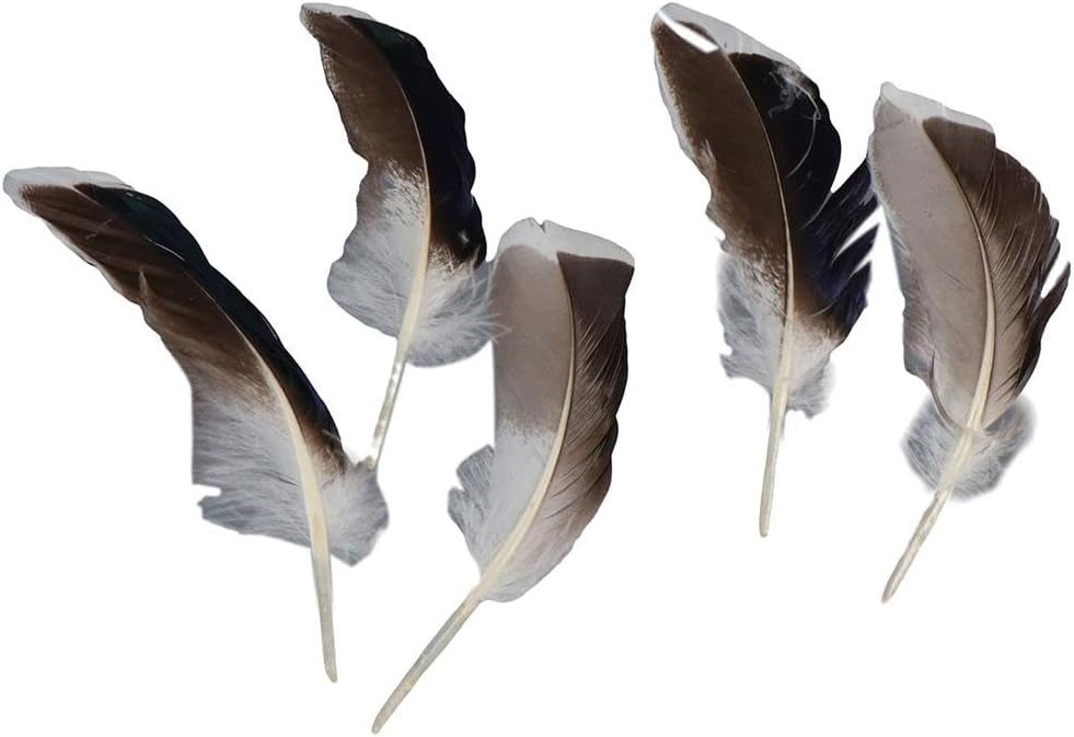 Uniquer 100Pcs Duck Feathers,Beautiful Decor Feathers for Crafts DIY,Feathers for Clothing Costumes Hair Hats Earrings Dream Catcher