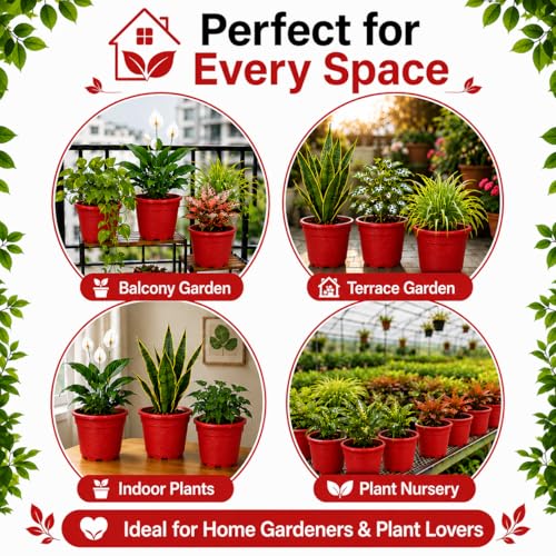 Image of Indian Gardens - 4 inch Indoor (Pack of 10) Plastic Small Colour pots | Plastic Plant Pot for Terrace Garden (Red)