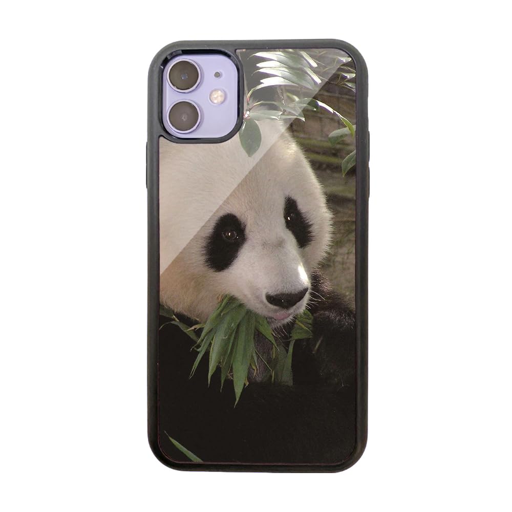 iPhone - ぱんだ様用     iPhone se2 Amazon.co.jp: iPhone SE 第2世代 パンダ ぱんだ 癒し 動物