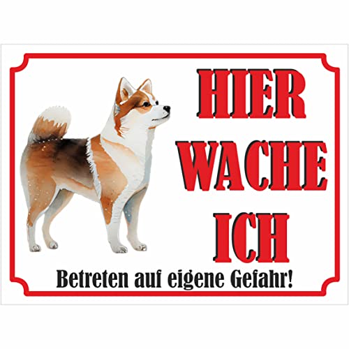 INDIGOS UG - Shiba Inu - Schild bedruckt - Hier wache ich - Aluverbundplatte weiß - ab 20x15 cm - Spruch - Deko Geschenkidee für Ihren Hund - Zaun - Türschild
