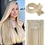 Blonde with Blonde Highlights