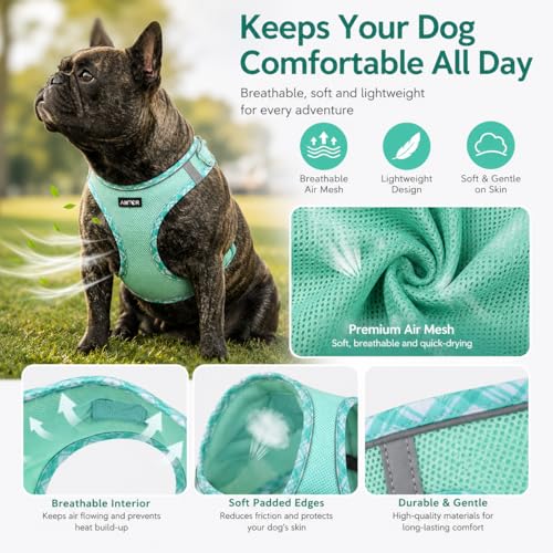 AMTOR Small Dog Harness with Leash Set, No Escape Easy Walk Puppy Harnesses for Training Walking, Step-in Reflective Soft Dogs Vest for XS S Medium Extra-Small Large Sized Dog(Green,S) - Image 3