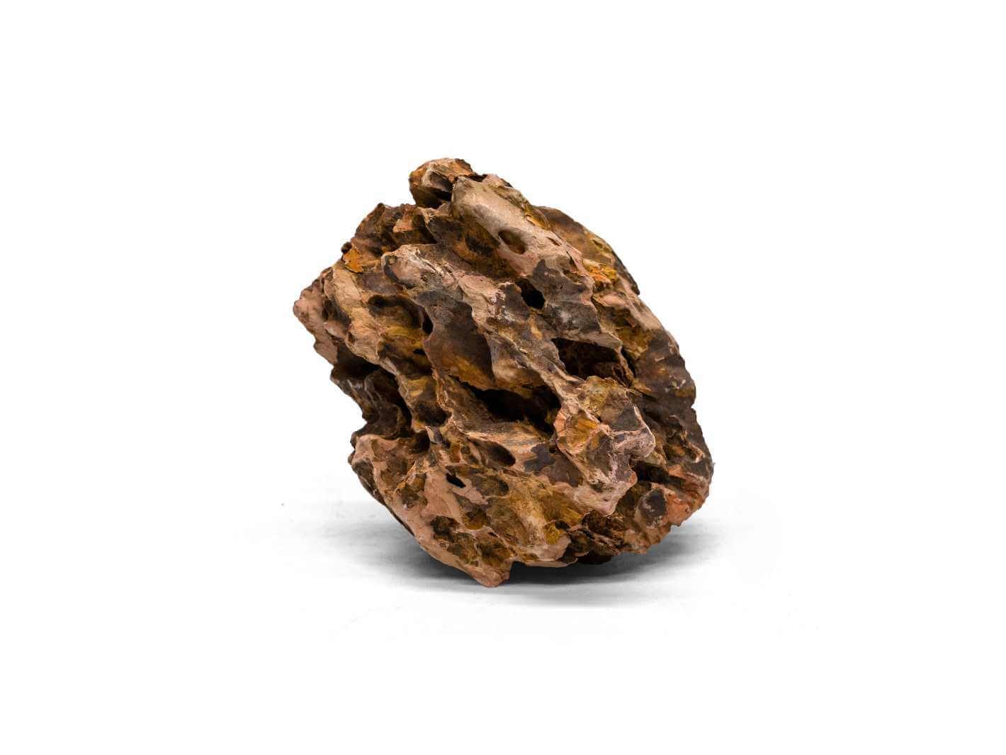 Natural Dragon Stone for Aquascaping & Terrariums – Detailed Aquarium Rock in Various Sizes – Dragon Rock with Neutral pH & Vibrant Colour – Ideal for Aquarium & Terrarium Landscapes (1 kg)