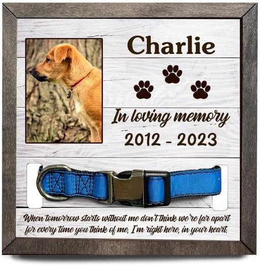 Personalized Pet Collar Holder, When tomorrow starts without me, Chinook Dog Collar Holder, Cat Dog Horse Loss, Sympathy Pet Collar With Photo, Memorial Standing Frame