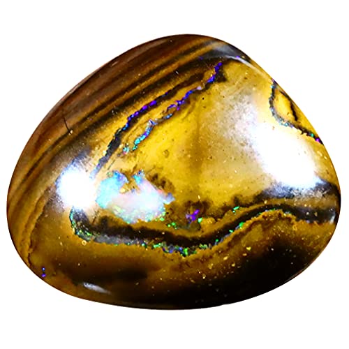 Opale Boulder naturelle 13.46 ct Koroit pour remplacer une pierre terne par une gemme éclatante