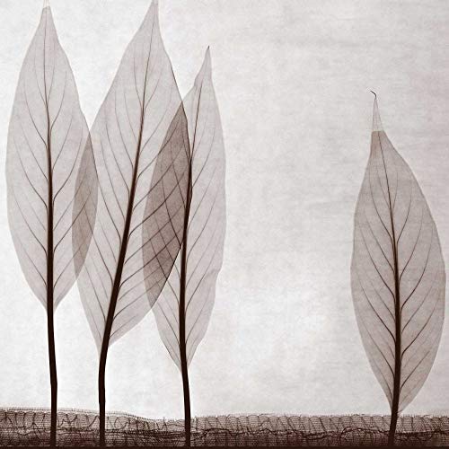 Paysage de feuilles Steven N. Meyers - Impression d'art triptyque haut de gamme