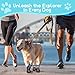 Hundeschuhe Pfotenschutz Outdoor, 4 Stück Wasserdicht Hunde Schuhe mit Reflektierendem Klettverschluss, Verstellbarer Hundestiefel für Kleine Mittlere Große Hunde (Schwarz-Wasserdicht, 5)