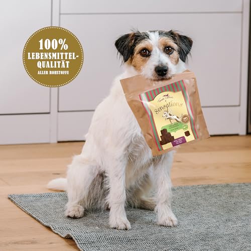 Terra Canis Sensations - Training Wonders 90g I Ideal für Training und Hundeschule I Premium Snack für Hunde in 100% Lebensmittelqualität Aller Rohstoffe I Getreidefrei & glutenfrei (Pute)