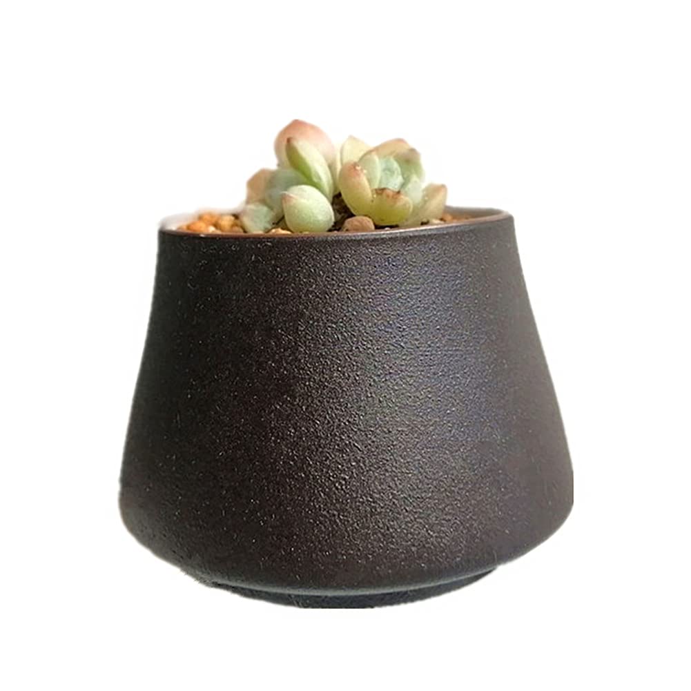 NTPHNB Creative Simplicity Ceramic Cactus Succulent Planter Pot Container Small (T)