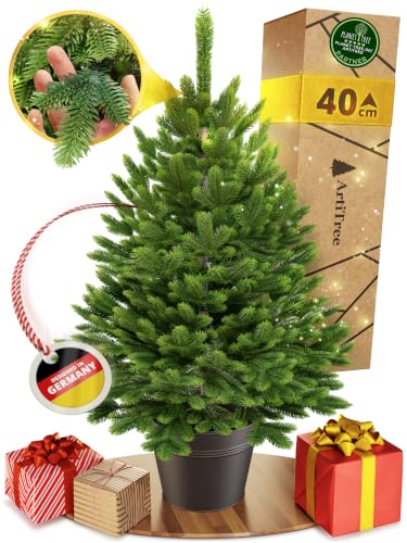 ArtiTree Künstlicher Mini Weihnachtsbaum im Topf 40 cm – Nordfichte – Ansicht 1