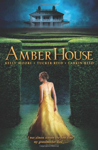 Amber House (Amber House, Book 1) Paperback – August 27, 2013