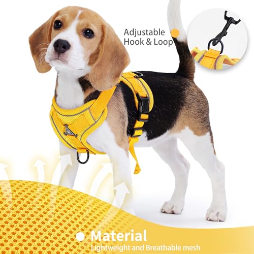 Jolifield No Pull Dog Harness with Leash Set for Medium Sized Dog, Reflective Adjustable No Choke Front Clip Cat Vest Harness with Breathable Mesh, Comfortable Soft Padded Pet Vest, Yellow XL