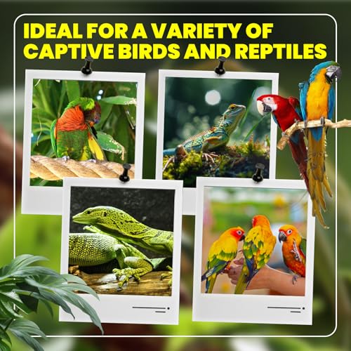 Image of GlowUp 23W UVB Bulb for Bird, UVB 2.4 Compact Fluorescent Light Bulb E26 Birdcage Compact UVB 2.4 Lamp for Captive Birds and Reptiles