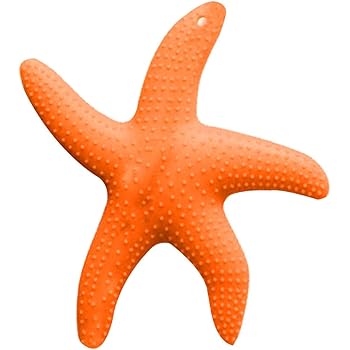 starfish teether