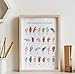 American Sign Language Poster, ASL Alphabet, Rainbow Classroom Decor, ABC Print - 11x14 - Unframed Print - Decor for Home, Bedroom, Nursery, Kids Room, Dorm, Gift