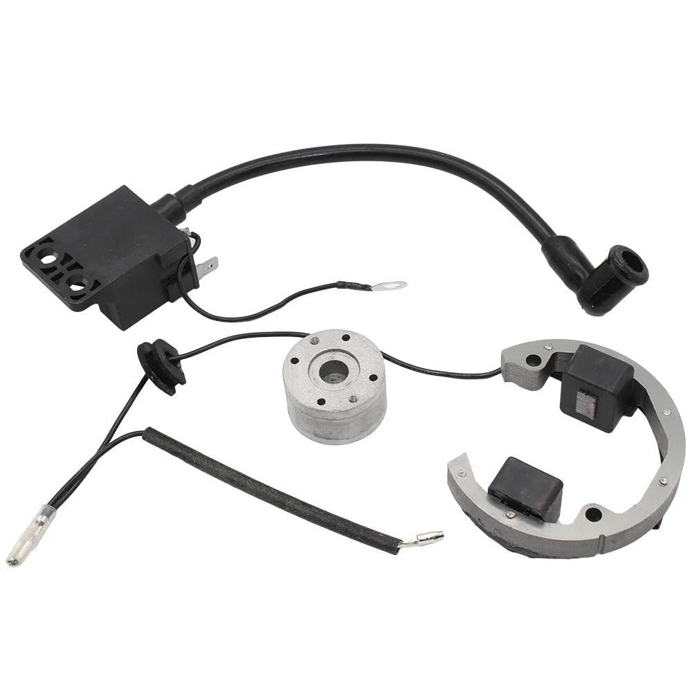 Magnete Accensione Rotore Interno Compatibile Con SX 50 Moped