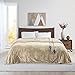 Beautyrest Microlight to Berber Elect Electric Blanket with Two 20 Heat Level Setting Controllers, King, Tan