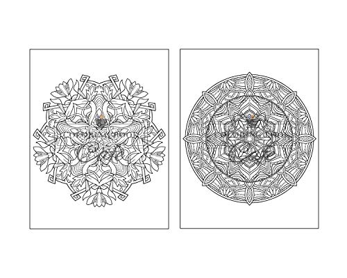 125 Mandalas: An Adult Coloring Book Featuring 125 of the World's Most Beautiful Mandalas for Stress Relief and Relaxation - Image 11